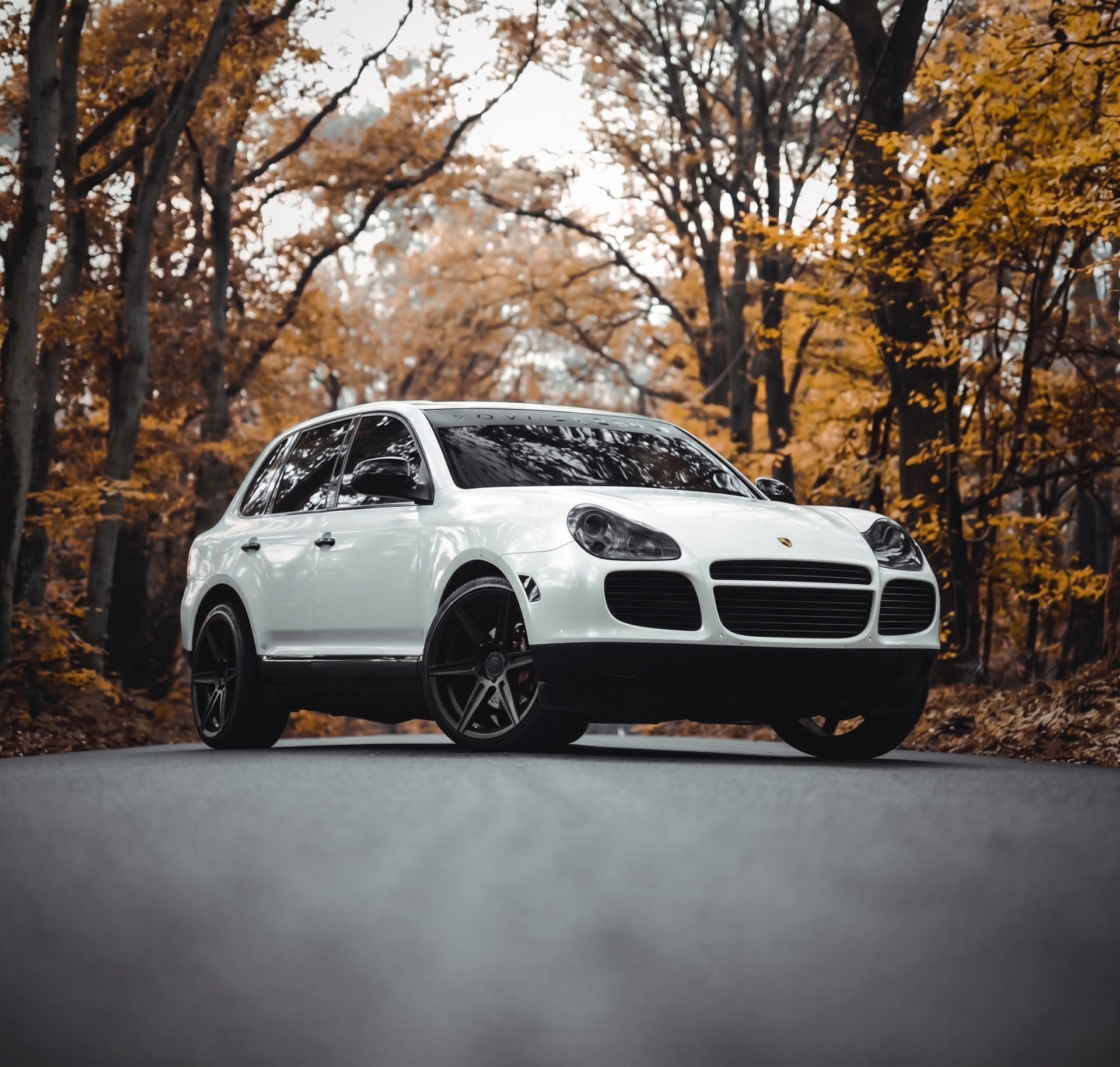 Paint Protection Film